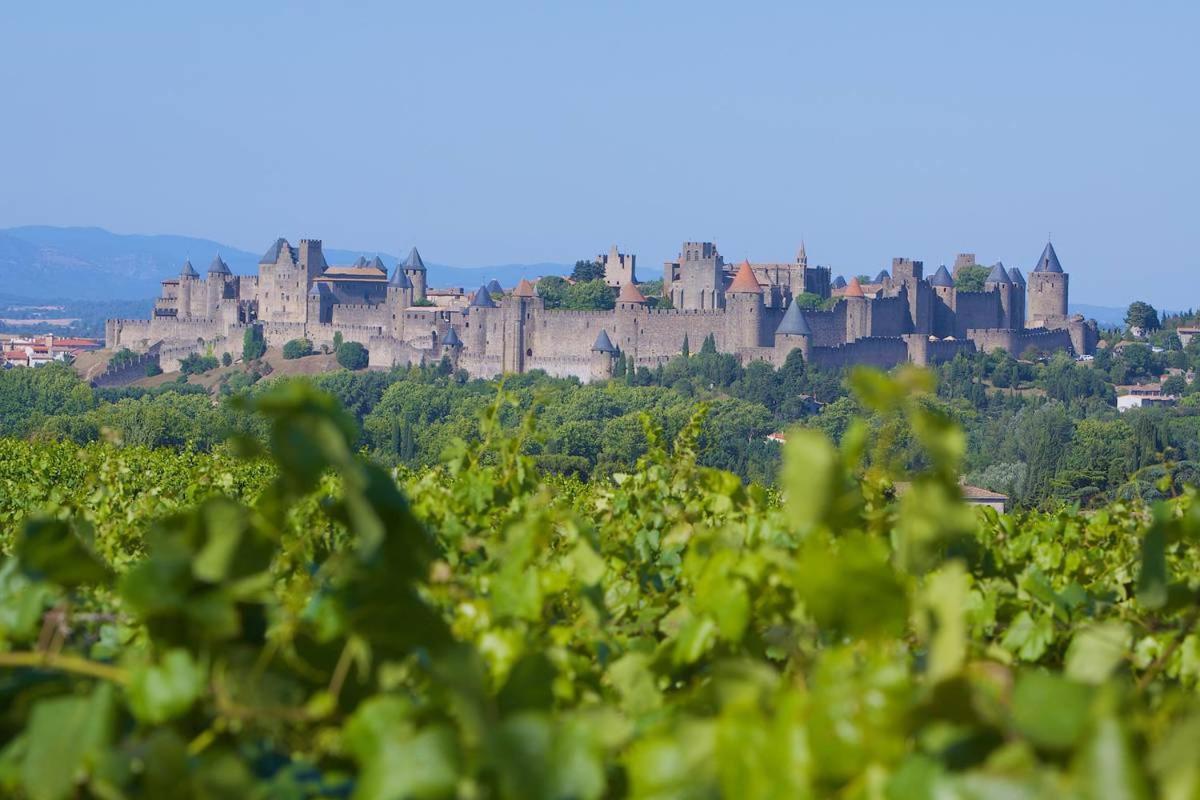 Tout Confort ! Climatisation, Calme, Piscine, Parking Gratuit, Terrasse, Wifi Apartment Carcassonne Luaran gambar