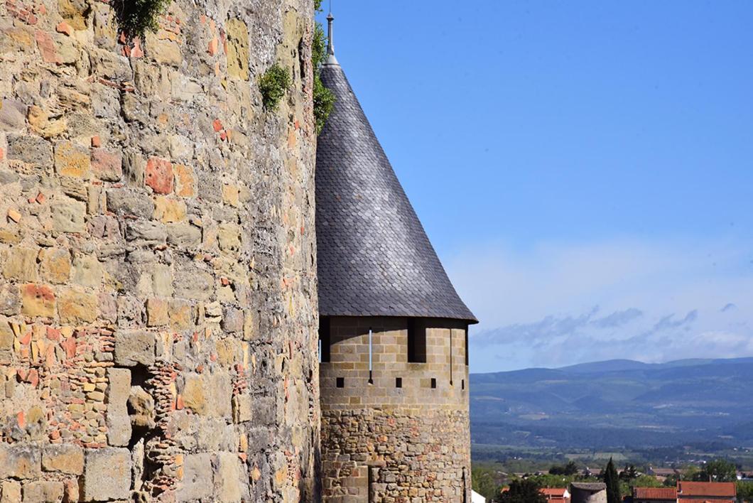 Tout Confort ! Climatisation, Calme, Piscine, Parking Gratuit, Terrasse, Wifi Apartment Carcassonne Luaran gambar